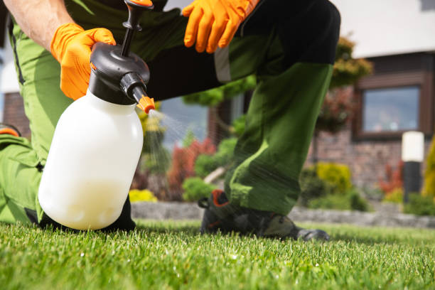Best Wildlife Control Services  in Buena Vista, MI