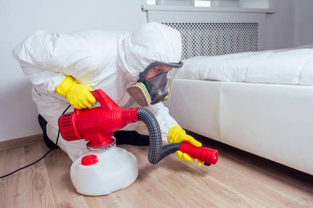 Best Best Pest Control Companies  in Buena Vista, MI