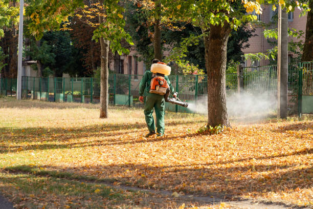 Best Cockroach Control Services  in Buena Vista, MI