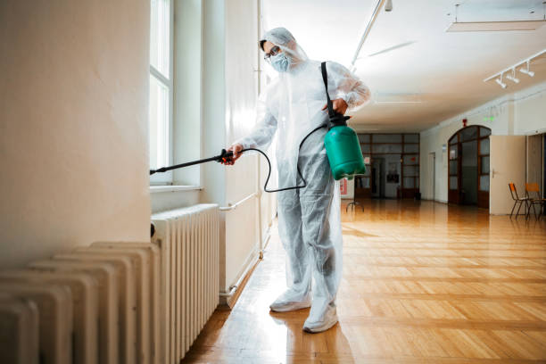 Best Affordable Pest Control Services  in Buena Vista, MI